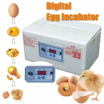 Naujas 20 Pozicija Automatinis Skaitmeninis Šeimos Kiaušiniai Inkubatoriaus Vištienos Paukščių Hatcher Putų vandens telkinys Inkubatorius Ūkio Inkubacijos Įrankis 12V